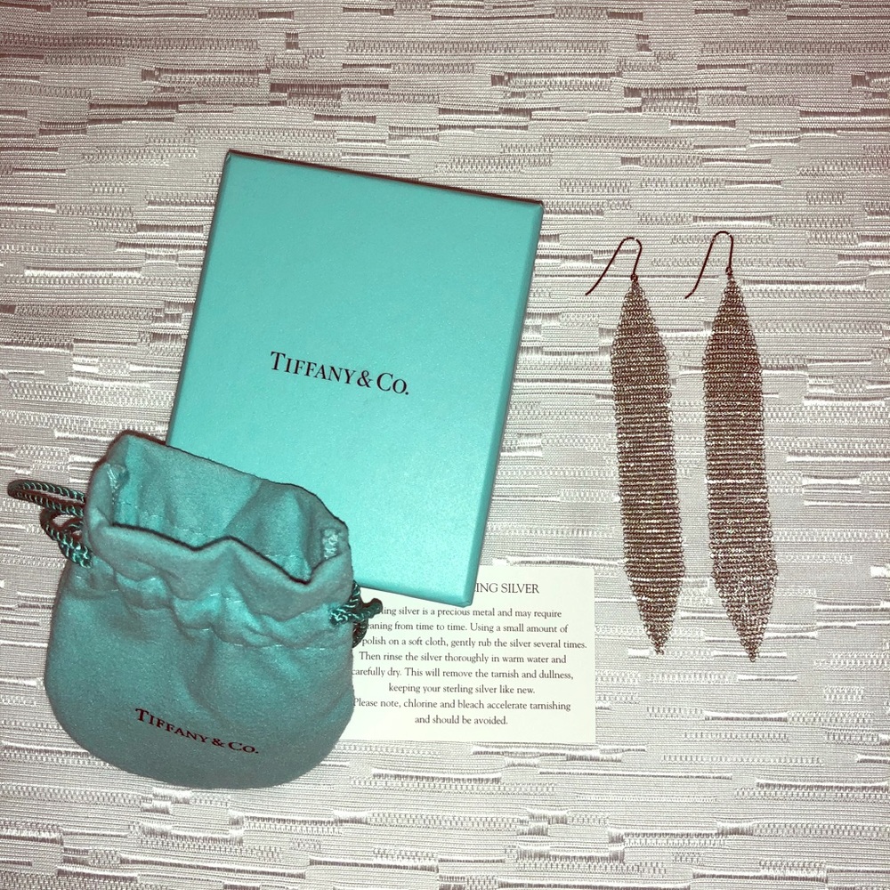 New Sterling Silver Tiffany & Co. Mesh Earrings